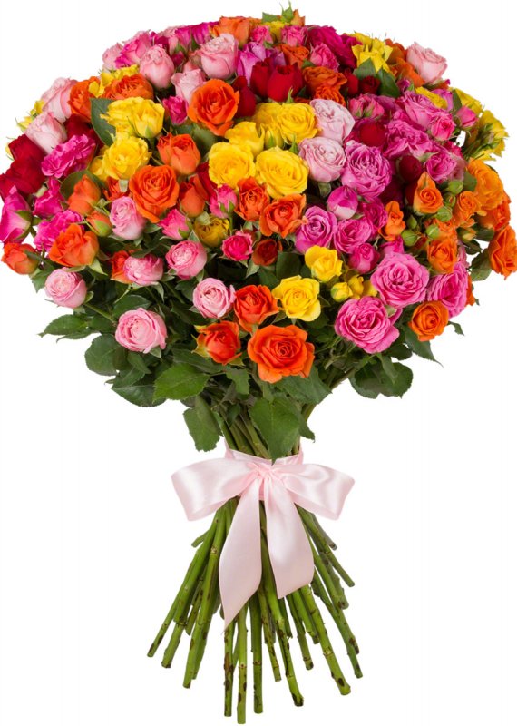 Роза кустовая 60 см микс