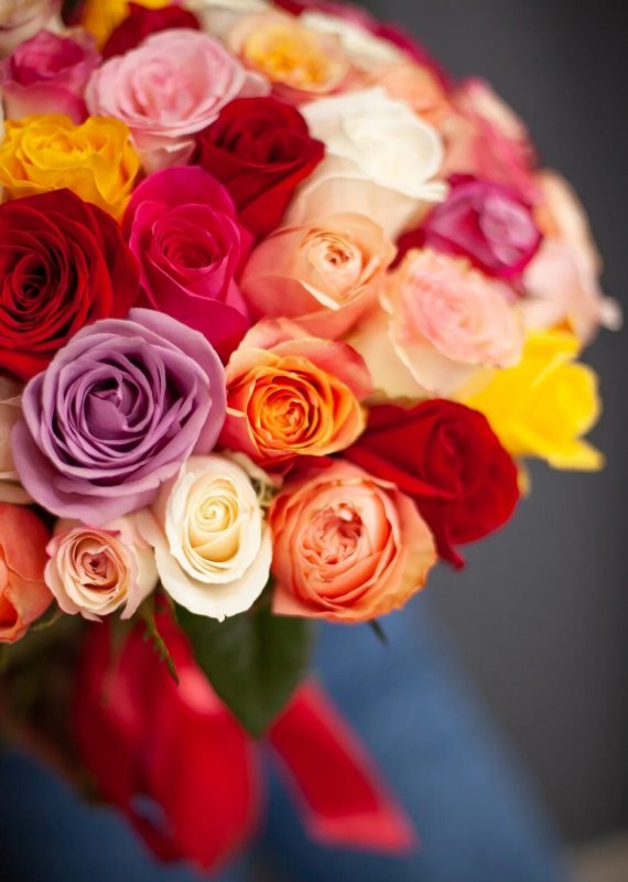 Роза кустовая 60 см микс